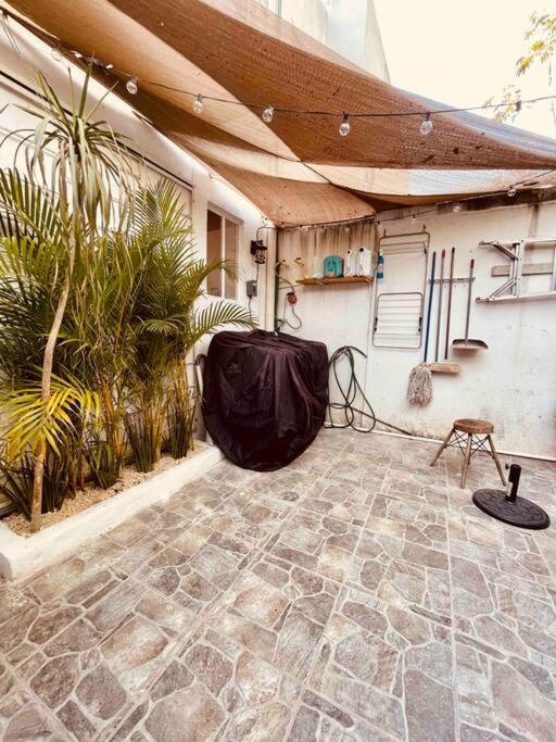 Casa Garden Tren Maya *