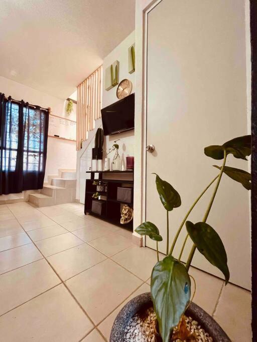 Casa Garden Tren Maya *