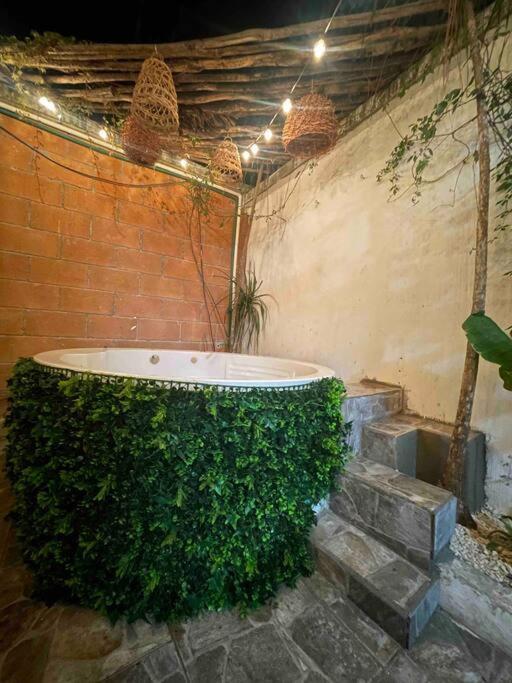 Casa Garden Tren Maya